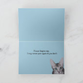 Carte Gros Yeux Kitty Désolé (Intérieur)