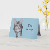 Carte Gros Yeux Kitty Désolé (Fleur jaune)