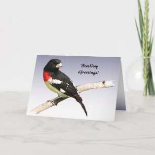 Carte Grosbeak à poitrine rose