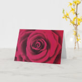 Carte Grosse Rose rouge (Fleur jaune)