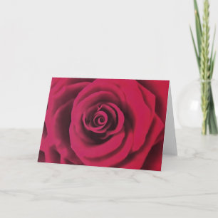 Carte Grosse Rose rouge