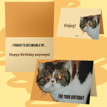 Grouchy Grumpy Chat Exotique Perse Drôle Anniversa