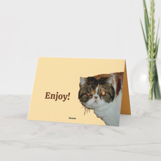 Carte Grouchy Grumpy Chat Exotique Perse Drôle Anniversa (Dos)