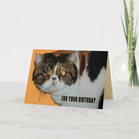 Carte Grouchy Grumpy Chat Exotique Perse Drôle Anniversa (Devant)