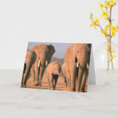 Carte "GROUPE" 30e ANNIVERSAIRE DES ÉLÉPHANTS (Fleur jaune)