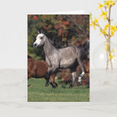 Carte Groupe de Chevaux arabes en course (Fleur jaune)