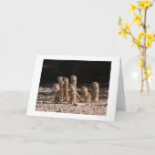 CARTE GROUPE DE CHIENS PRARIE DISENT JEUX ANNIVERSAIRE (Fleur jaune)