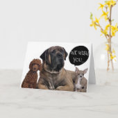 CARTE GROUPE DE CHIENS SOUHAITE RETRAITER VOS RÊVES (Fleur jaune)