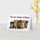 CARTE GROUPE DE "CUTE KITTENS DIT HEUREUX ANNIVERSAIRE" (Fleur jaune)