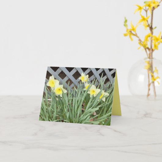 Carte Groupe de Daffodiles (Fleur jaune)