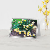 Carte Groupe de jonquilles jaune vif avec Feuilles verts (Fleur jaune)