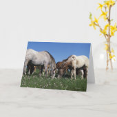 Carte Groupe de pâturage de chevaux d'Appaloosa (Fleur jaune)