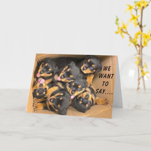 CARTE GROUPE DE PUPS DIT **JOLI ANNIVERSAIRE** (Fleur jaune)