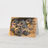 CARTE GROUPE DE PUPS DIT **JOLI ANNIVERSAIRE** (Devant)