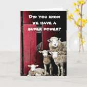 CARTE "GROUPE DE SHEEP" SOUHAITEZ-VOUS "HEUREUX ANNIVERS (Fleur jaune)