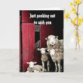 CARTE "GROUPE DE SHEEP" VOUS SOUHAITEZ *MERCI NOËL* (Fleur jaune)