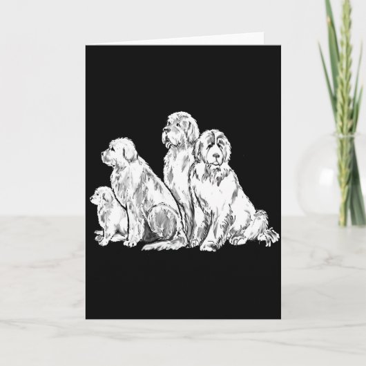 Carte Groupe des Nefoundland (Devant)
