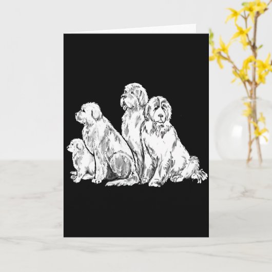 Carte Groupe des Nefoundland (Fleur jaune)