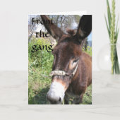 CARTE GROUPE DONKEY SOUHAITS D'ANNIVERSAIRE (Devant)