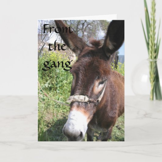 CARTE GROUPE DONKEY SOUHAITS D'ANNIVERSAIRE (Devant)