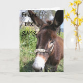 CARTE GROUPE DONKEY SOUHAITS D'ANNIVERSAIRE (Fleur jaune)