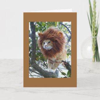 Carte GROUPE NO DISGUISE-40e BIRTHDAY