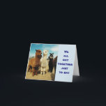 CARTE GROUPE OF LLAMAS SAY HAPPY BIRTHDAY<br><div class="desc">THIS CUTE BUNCH WANT TO SAY ONE THING ****HAPPY BIRTHDAY*** CUTE POUR "ANYONE" ET "ANY AGE"</div>