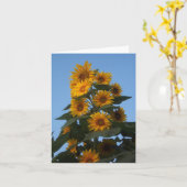 Carte Groupe Sunflower Notecard (Fleur jaune)
