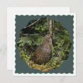 Carte Groupement d'épinette (Devant / Derrière)