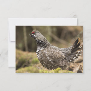Carte Groupement fier