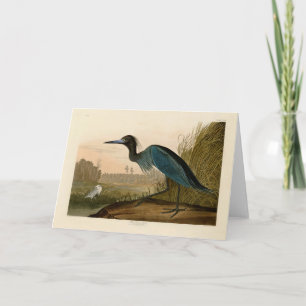 Carte Grue Bleue Heron Audubon Peinture