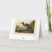 Carte Grue bleue, Heron, d'Audubon's Birds of America (Dos)