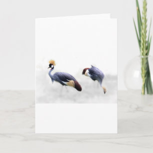 Carte grue couronnée grise ailes oiseau plumes