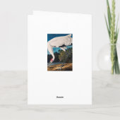 Carte Grue de Hooping de l'Américain d'Audubon (Dos)