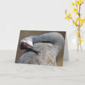 Carte Grue de Sandhill à Bosque del Apache (Fleur jaune)