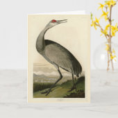 Carte Grue de Sandhill d'Audubon's Birds of America (Fleur jaune)
