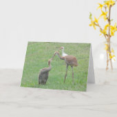 Carte Grues de Sandhill (Fleur jaune)