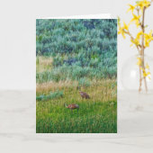 Carte Grues Sandhill (Fleur jaune)