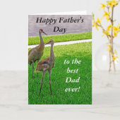 Carte Grues Sandhill - Fête des pères - Anniversaire (Fleur jaune)