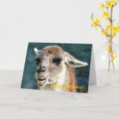 CARTE GUANACO (Fleur jaune)