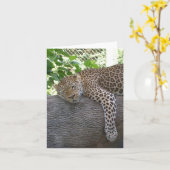 Carte Guépard de sommeil (Fleur jaune)