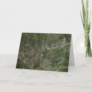 Carte Guérir le Web