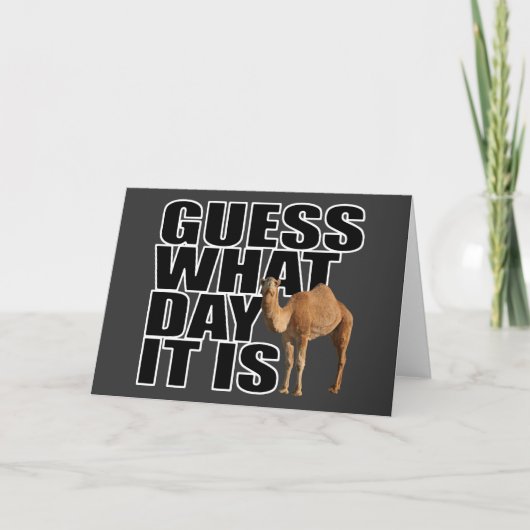 Carte Guess What Day It Is Hump Day Camel (Devant)