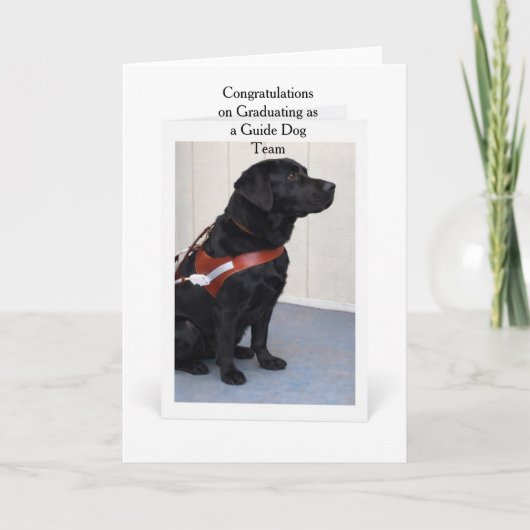 Carte Guide Dog Graduation Congratulations Card (Devant)