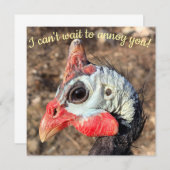 Carte Guinée Fowl (Devant / Derrière)