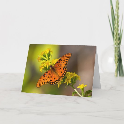Carte Gulf Fritillary alias Papillon de la Passion sur V (Devant)