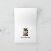 Carte Habitudes amusantes des chiens dans les chats (Intérieur)