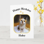 Carte Haley Calico Kitten Joyeux anniversaire (Fleur jaune)