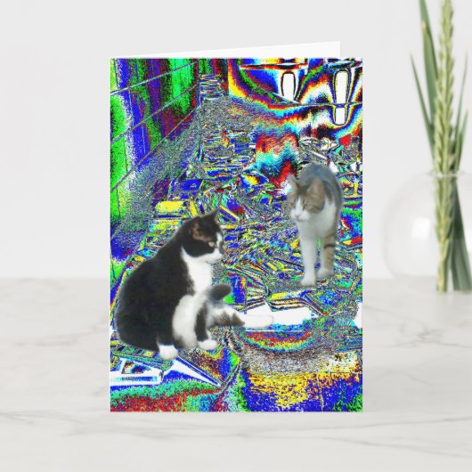 Carte Hall Pass à l'école Fairy Land (Devant)