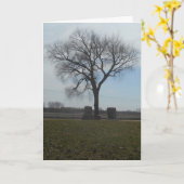 Carte Hallowe’en "Greenwood Cemeemetery Tree" (Fleur jaune)